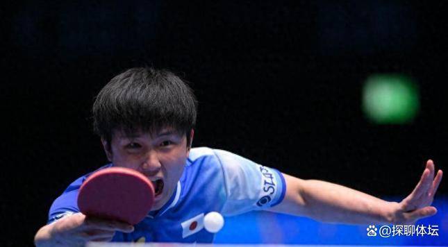 日本队翻盘奥地利队,张本智和关键制胜 日本队翻盘奥地利队,张本智和关键制胜