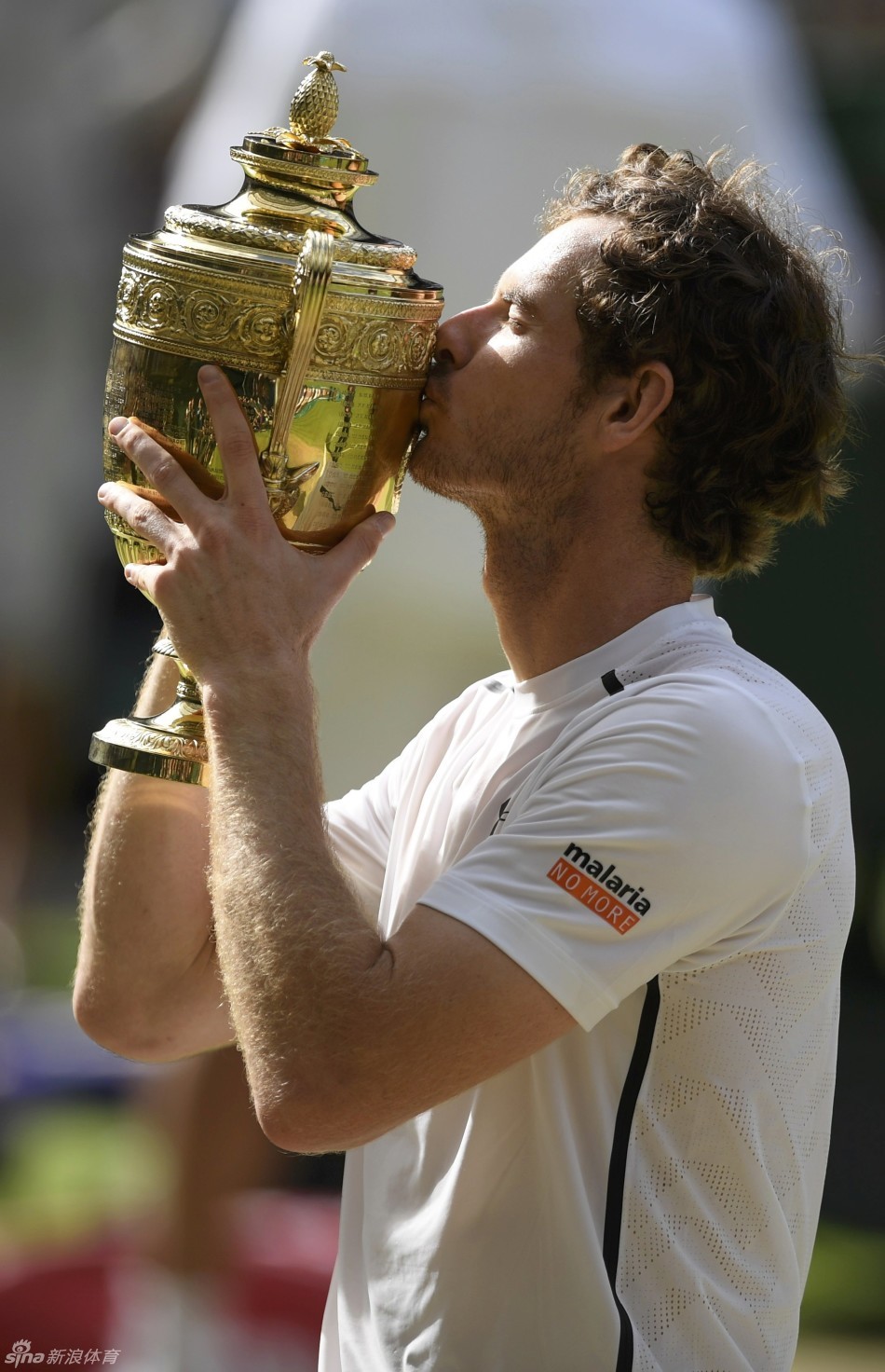 温网轻取戴维斯杯,穆雷点燃赛场 温网轻取戴维斯杯,穆雷点燃赛场