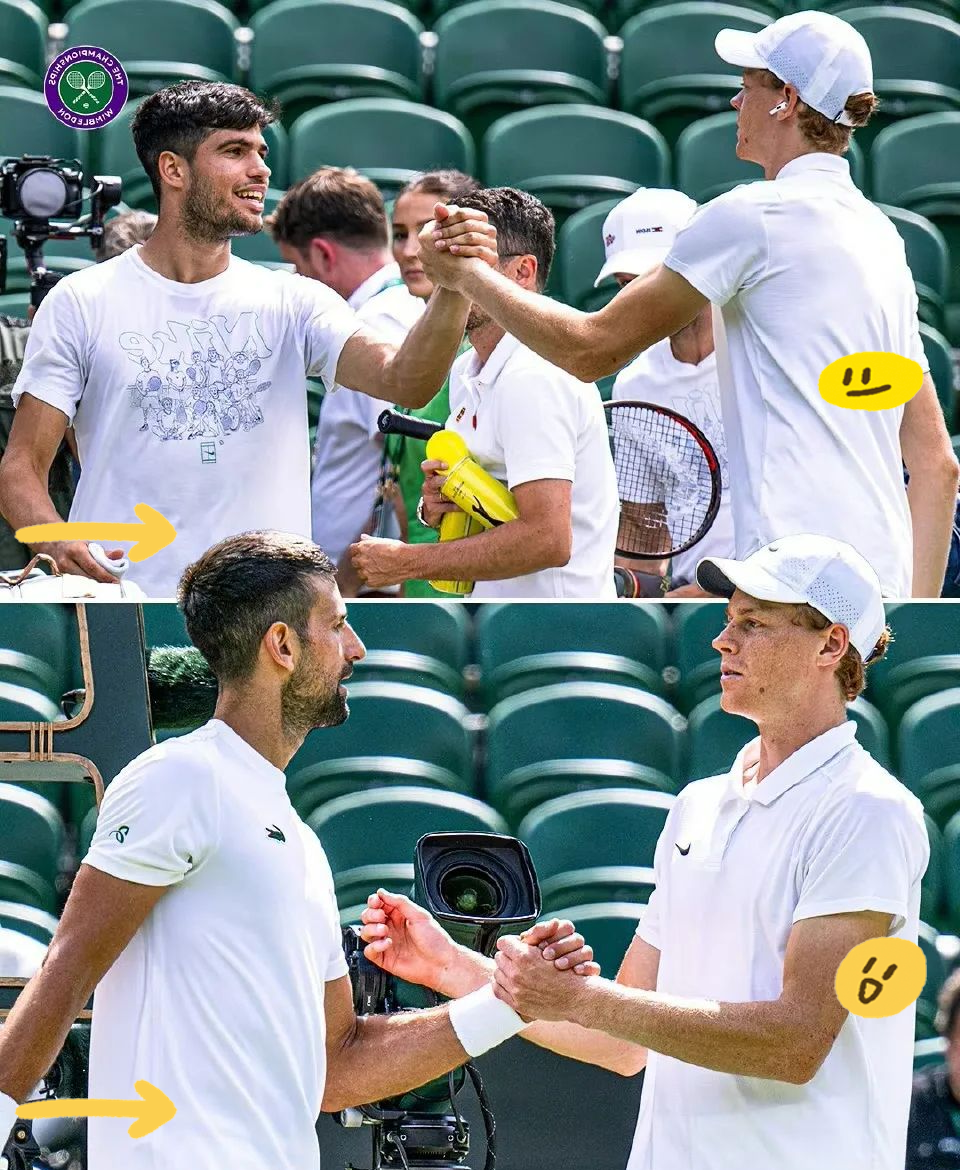 温网轻取戴维斯杯,穆雷点燃赛场 温网轻取戴维斯杯,穆雷点燃赛场