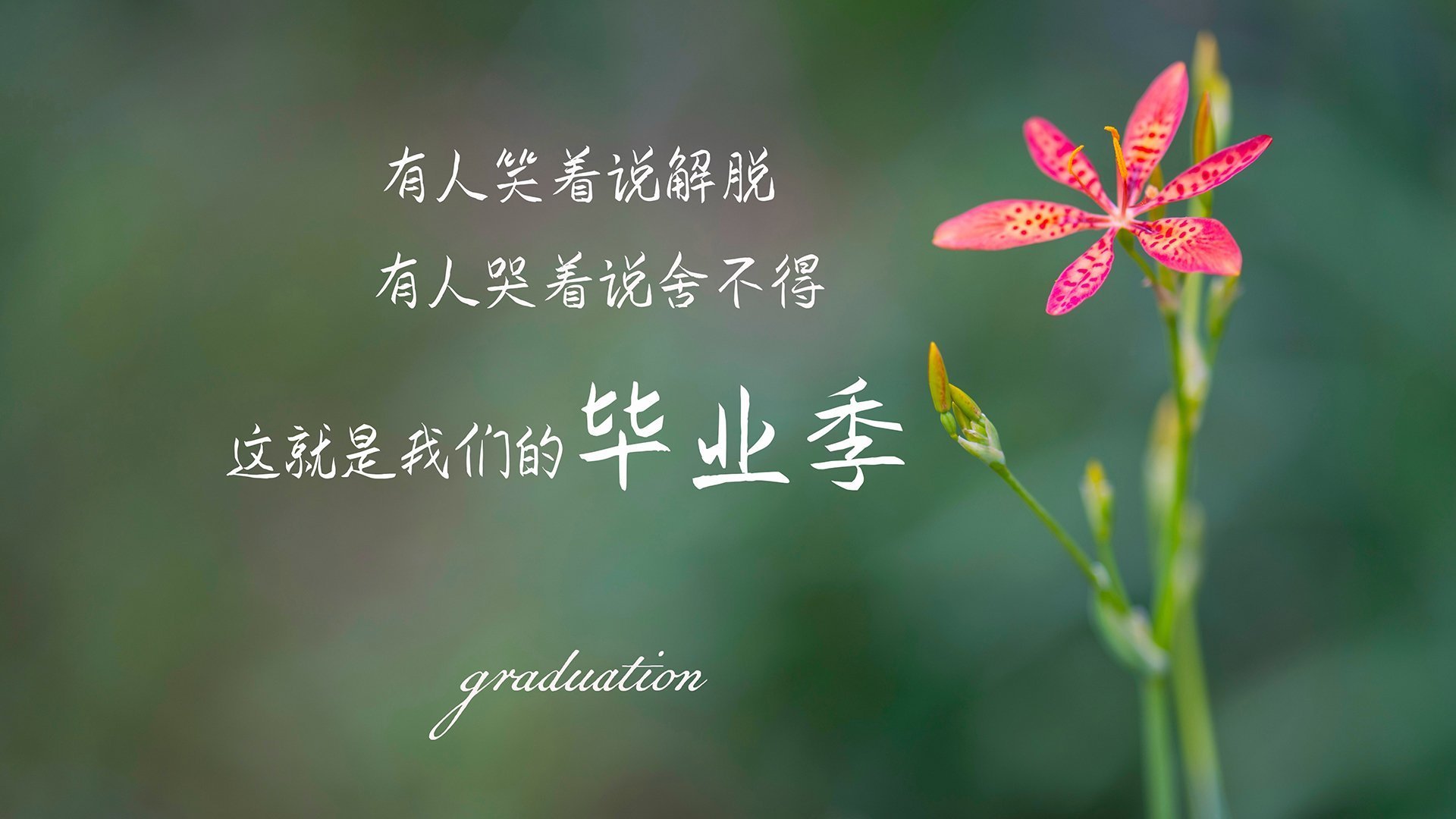 马刺智慧轻取勇士,赵继伟东方智慧点燃赛场—篮球世界的两种团队胜利