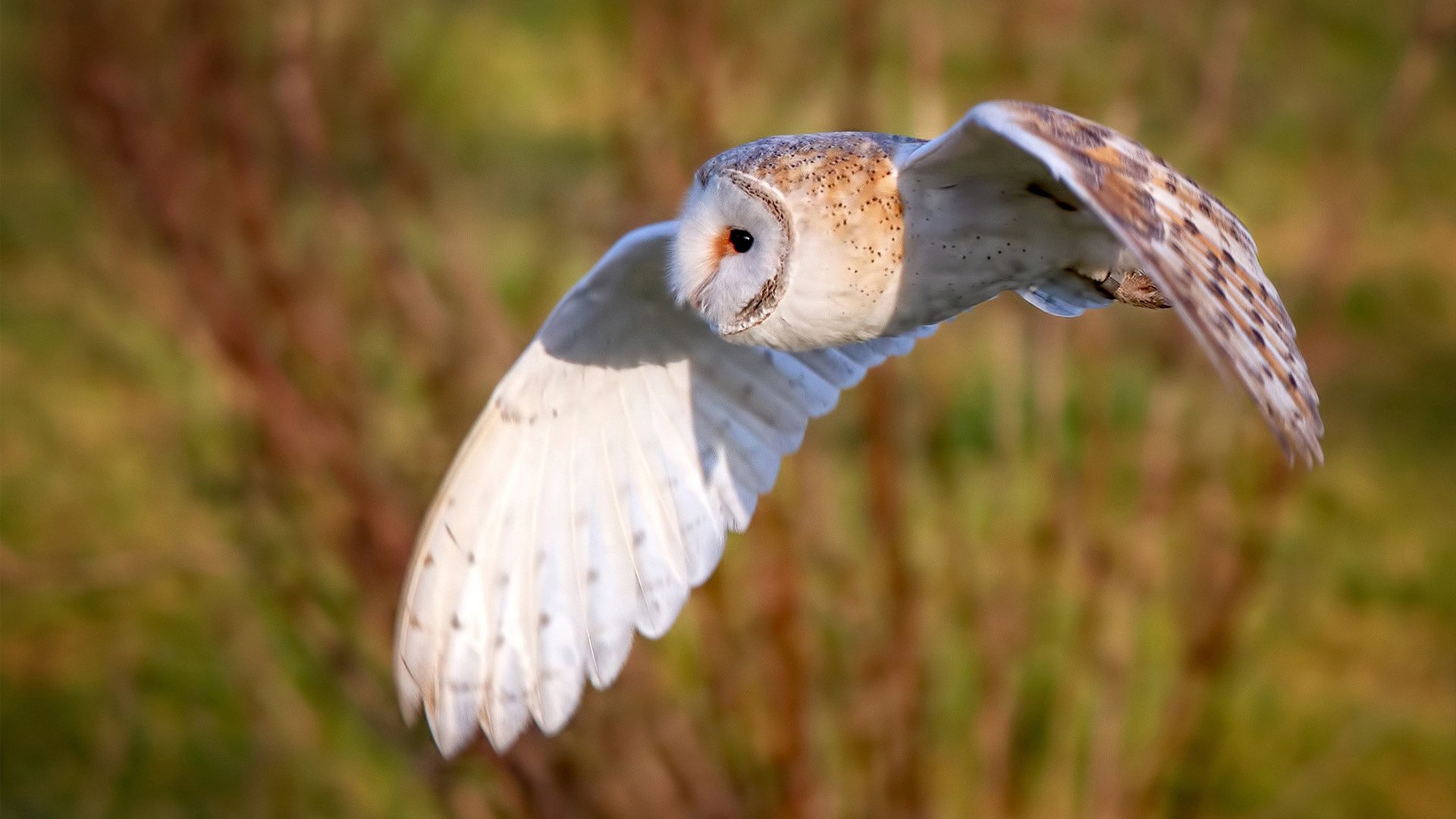 英超巨星空降德甲争冠夜,拉什福德一肩扛起全城希望