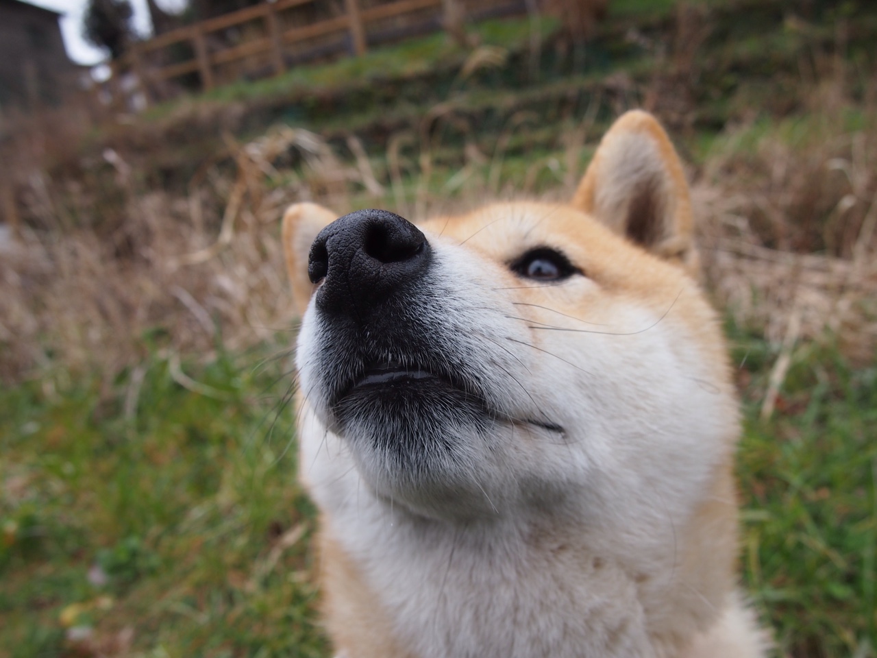 唯一棋手，法比尼奥皇后式调度，摩纳哥战术棋盘上彻底将莱比锡红牛将死