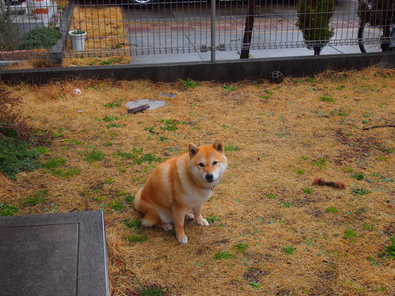 钢铁洪流与破盾者,雷霆的窒息防守与锡安的孤胆冲锋