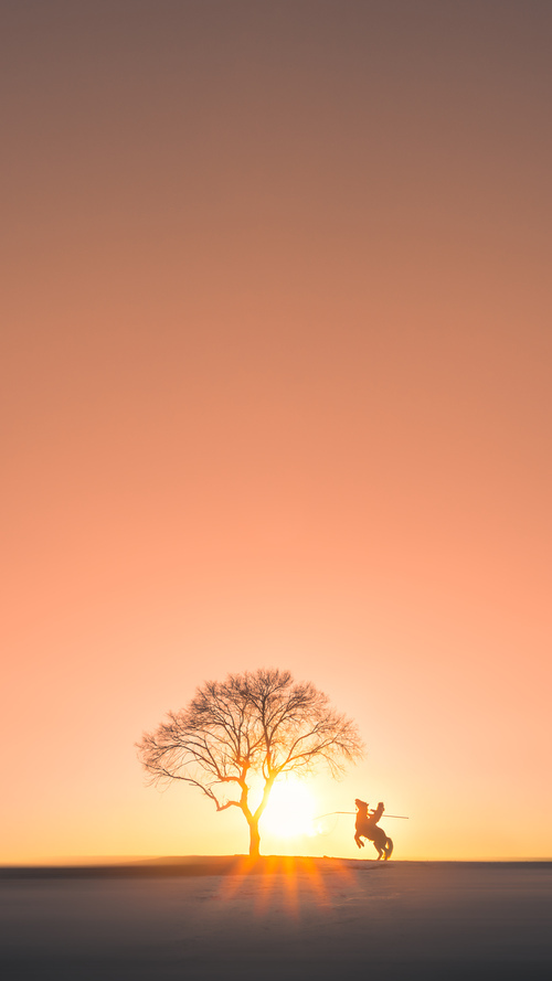 凤凰城新王降临，拉梅洛首秀完美发挥，太阳主场力克独行侠