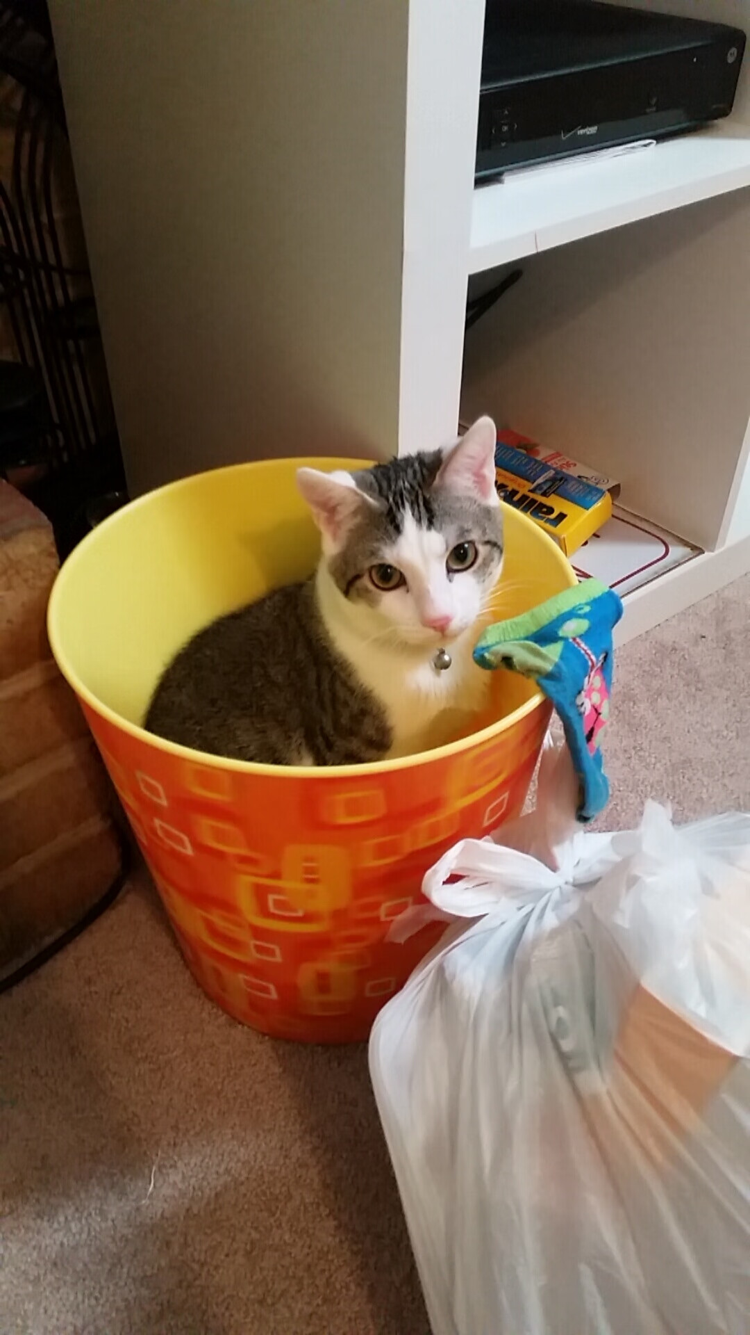 风暴与壁垒，国米三记惊雷轰碎梦剧场，阿劳霍宣告属于他的时代