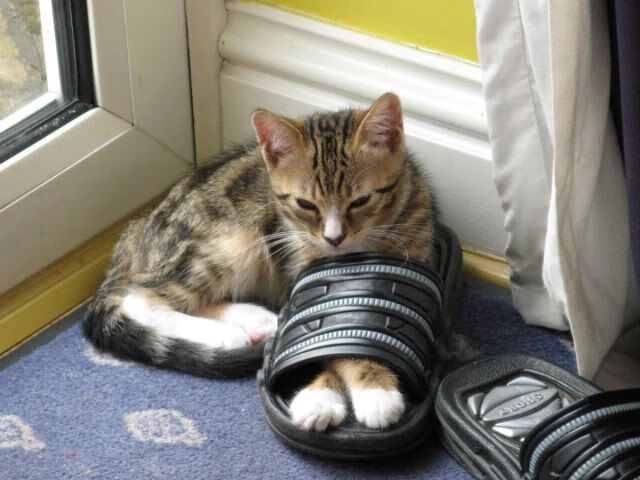 超越对决，库里神迹与魔术团队的胜利启示