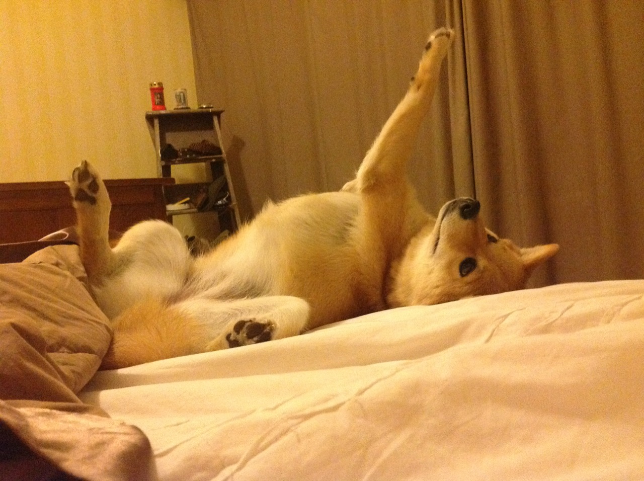 压哨的艺术，从NBA总决赛到尼斯奇迹的绝杀哲学