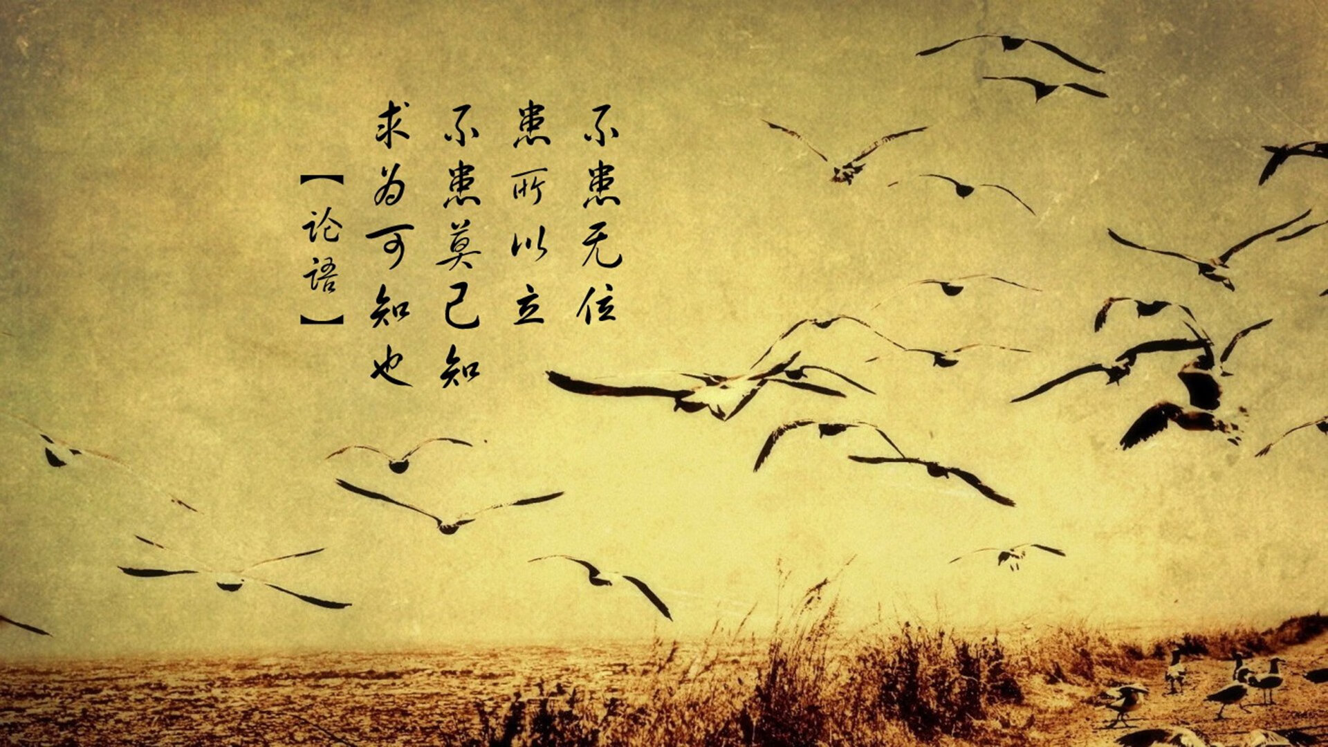 单骑破局，费利克斯的魔幻左脚，为波兰在2026世界杯B组生死战写下唯一答案