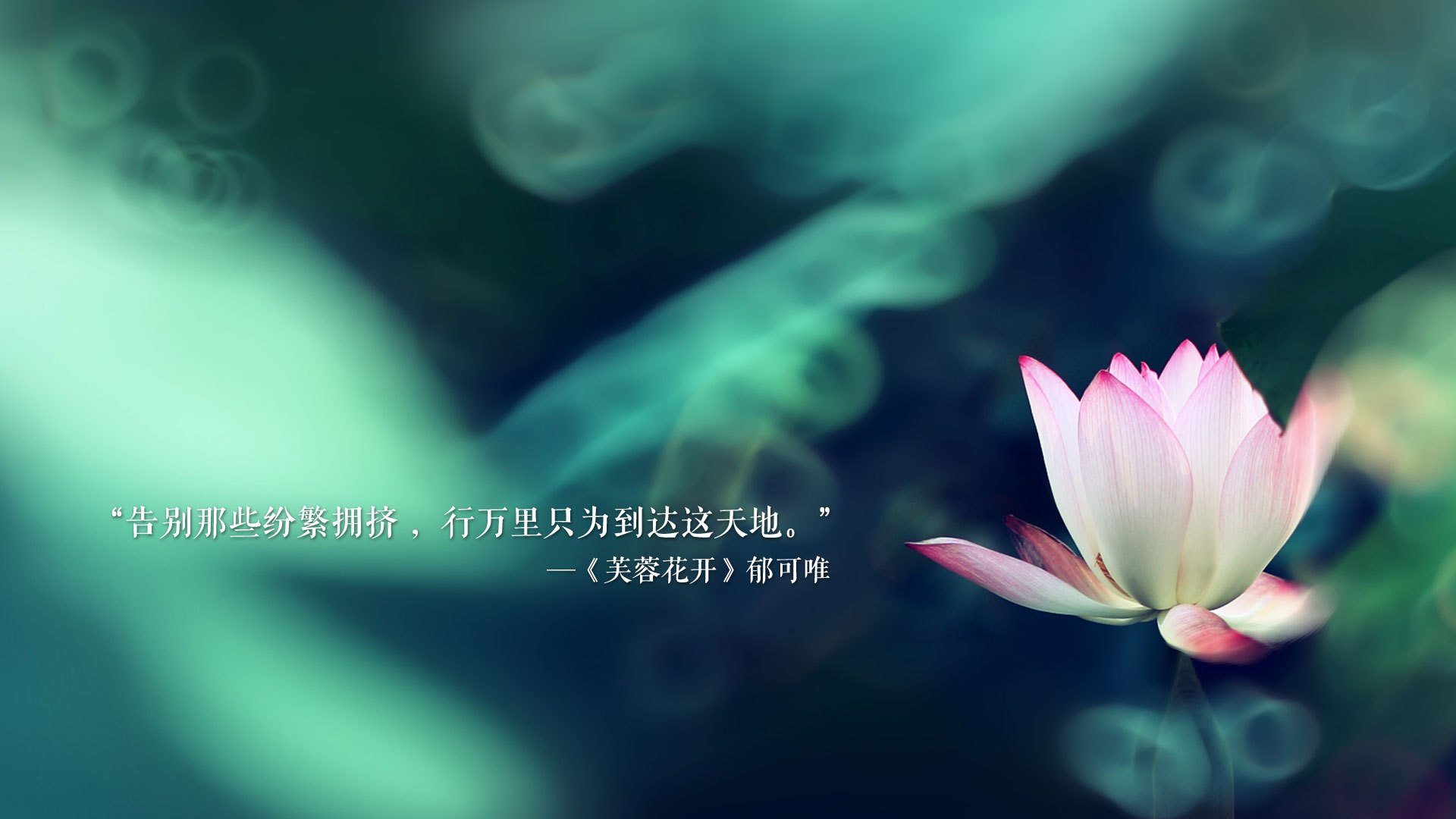那一夜,高卢雄鸡的蓝色风暴,格列兹曼与法国队的世界杯唯一性传奇